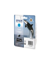 Epson T7602 Cyan Original (C13T76024010)