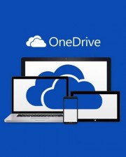 Microsoft OneDrive for Business (Plan 1) - Abonnement-Lizenz (1 Jahr) - 1 Benutzer (3NN-00021)