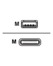 HONEYWELL USB A/M to type C120cm Digital/Daten 1,2 m Typ C (CBL-500-120-S00-05)