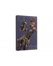 LaCie FIRECUDA MARVEL SHURI SE 2 TB 2.5IN USB 3.0 EXTERNAL HDD Festplatte GB (STLX2000402)