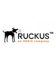 Ruckus ZoneDirector 1200 Upgrade-Lizenz 1 Access Point (909-0001-ZD12)