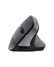 Trust BAYO II ERGONOMIC WIRELESS MOUS Maus (25145)