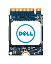 Dell 256 GB M.2 PCIE NVME GEN 3X4 (SNP112233P/256G)