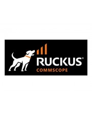 Ruckus Commscope/Access Point Management License for High Availability Nur Lizenz (L09-0001-SGHA)