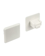 Delock Schutzumschlag weiß Packung mit 10 Staubschutz für RJ45 Buchse ohne Griff Stück (64019)