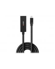 Lindy 5m USB 3.2 Gen 2 C/C Aktivverlängerung Kabel Digital/Daten CE FCC (43364)