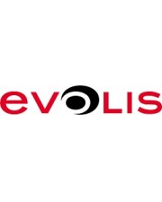 Evolis Trageband 100er (1437240)