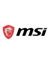 MSI PRO AP162T ADL-019DE Komplettsystem (00A60211-019)