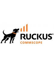 Ruckus Virtual Network Director 1 Instanz Nur Lizenz (L09-VRND-WW00)
